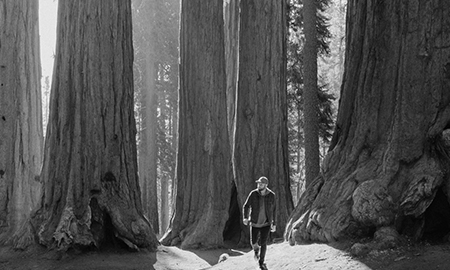 實(shí)木地板，最便宜的反而最好用